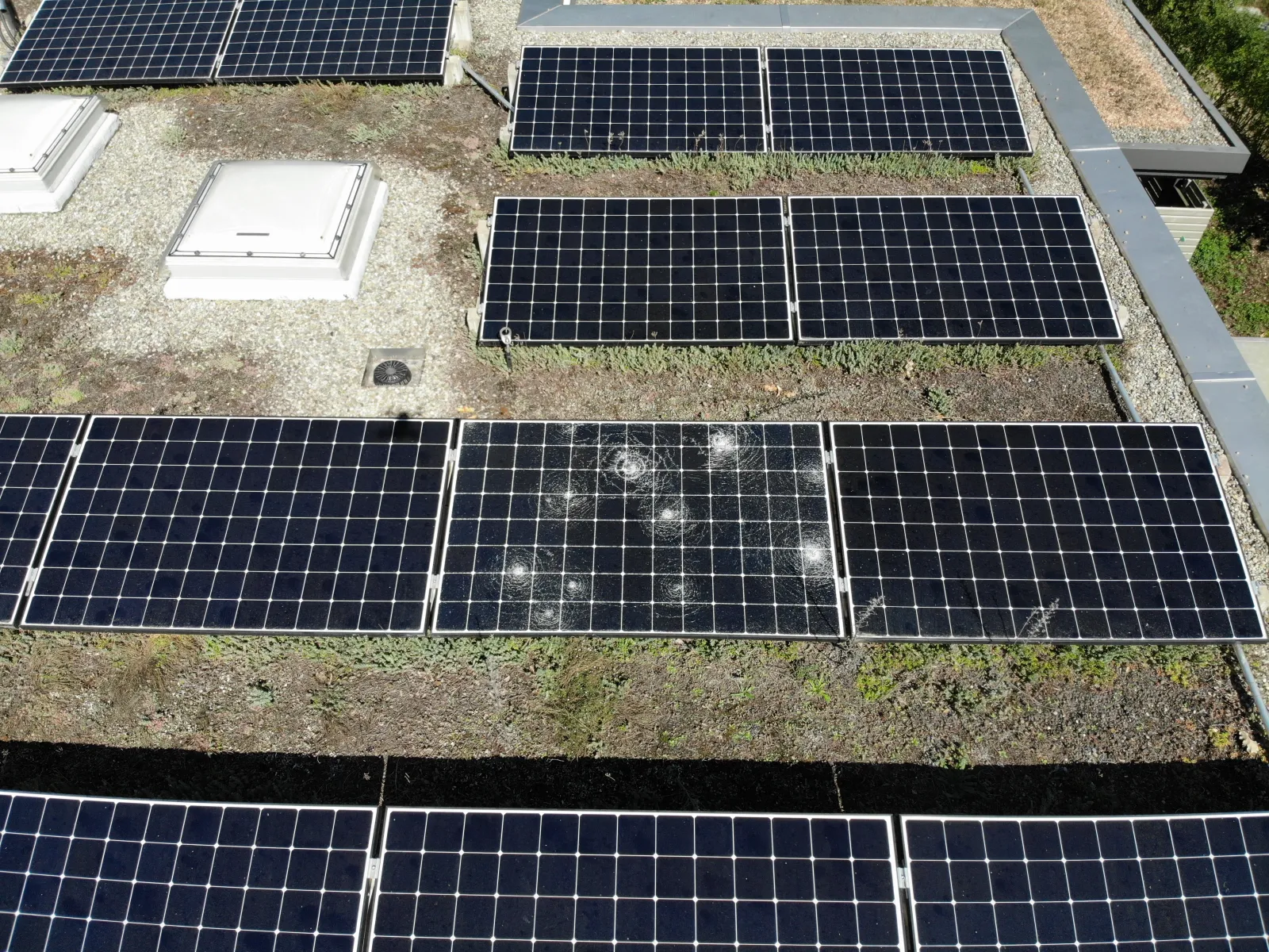 Drohnenaufnahme eines Flachdachs mit Solarmodulen: Das Glas eines Moduls ist an mehreren Einschlagstellen von Hagelkörnern zersplittert.